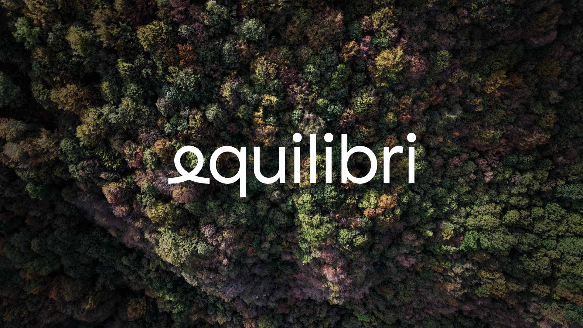 Seed 2024 – Design actions for the future